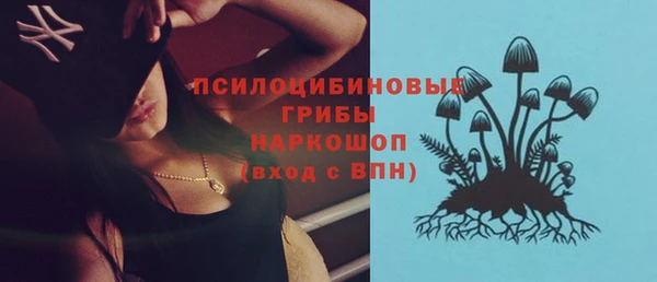 прущая мука Новозыбков